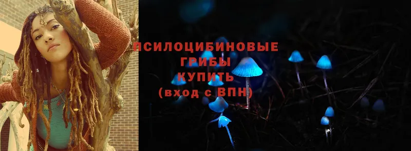 наркотики  Кущёвская  KRAKEN ссылки  Галлюциногенные грибы Magic Shrooms 